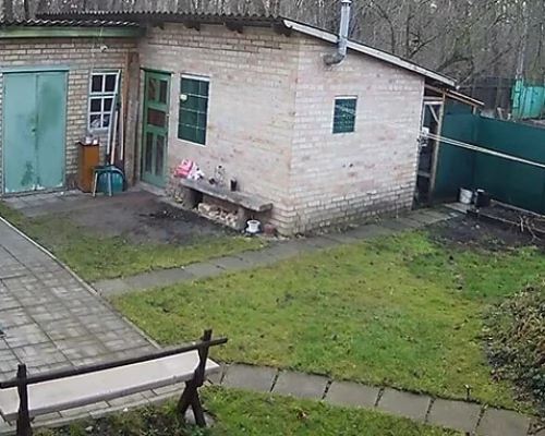Камера на заднем дворе