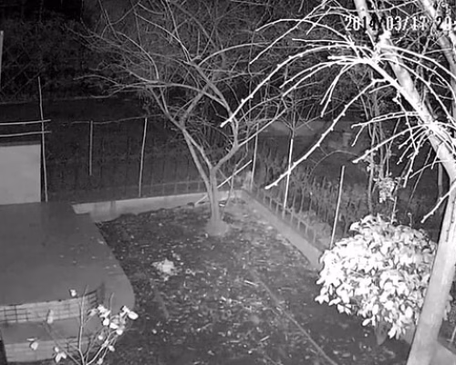 Инфракрасная подсветка на камере на даче